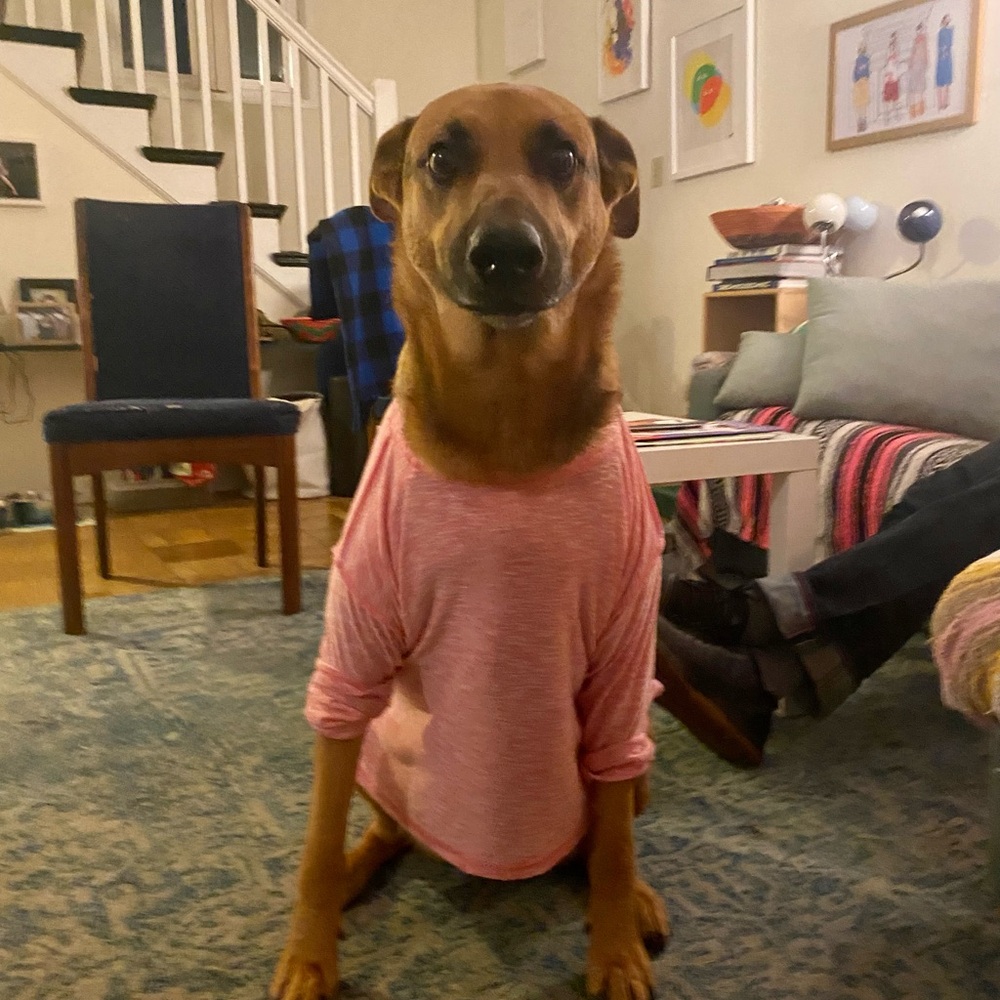 This is Cami. Hi!